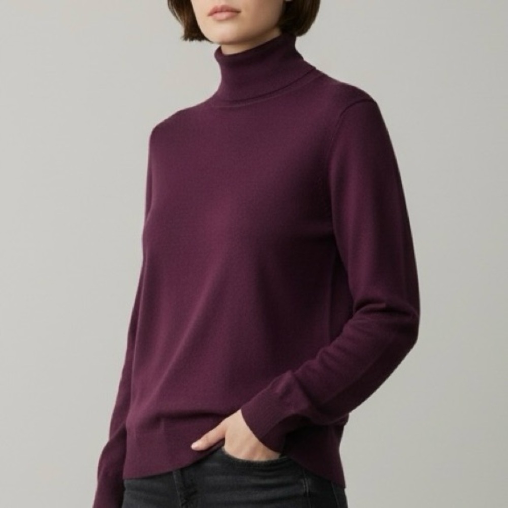 Merino Wool Turtleneck Sweater